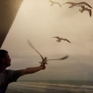 Meet your Posher, Tadd